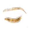 Eyebrow Transplant